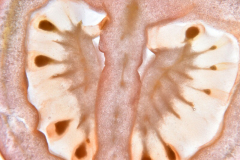 DSC_0852-800x534 DSC_0852-800x534