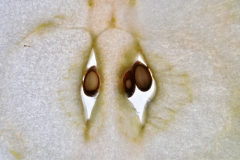 DSC_0862-800x534 DSC_0862-800x534