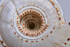 DSC_0889-800x534 DSC_0889-800x534