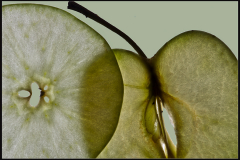 Darija-Sesto-Jabuke Darija-Sesto-Jabuke