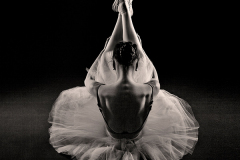 Darija-Sesto-Resting Darija-Sesto-Resting