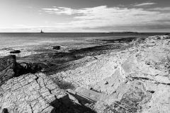 Dren_Butkovic_rt_Kamenjak Dren_Butkovic_rt_Kamenjak