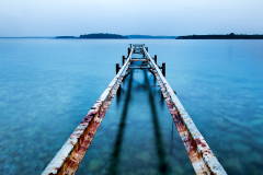 Dren_Butkovic_ruzinavi_mol Dren_Butkovic_ruzinavi_mol