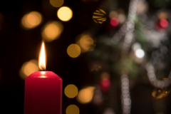 Iva-Plavsic-Badnje-vece Iva-Plavsic-Badnje-vece