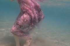 Jagunec-H2 Jagunec-H2