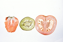 Jasenka-Pecina-Zorko Jasenka-Pecina-Zorko