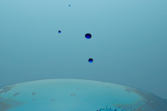 Kapljica-ll Kapljica-ll