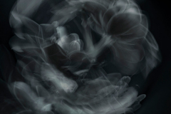 Marija-Buljeta-Whirlpool Marija-Buljeta-Whirlpool