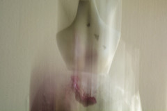 hladnoca-2 hladnoca-2