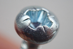 urdica-Dunatov-gro-plan urdica-Dunatov-gro-plan